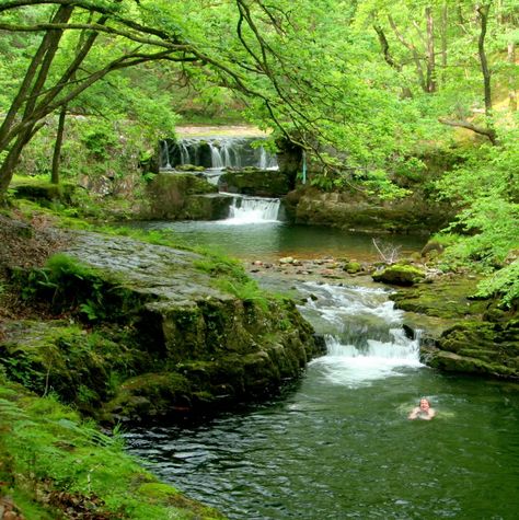 Plunge Pools, Wild Camp, Dartmoor National Park, Wild Swimming, Hidden Beach, Wilderness Survival, Plunge Pool, Swimming Holes, Deep Forest