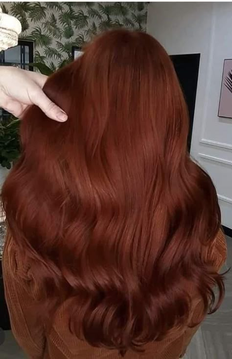 Level 4 Copper Hair, Vivid Copper Hair, Copper Red Hair Color, Auburn Red Hair, Copper Red Hair, Natural Red Hair, Red Hair Inspo, Ginger Hair Color, Copper Hair Color