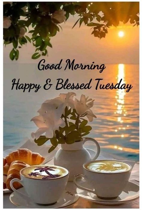 Good Morning Family Quotes, Good Morning Tuesday Wishes, Good Morning Happy Tuesday, Happy Tuesday Images, Happy Tuesday Morning, Tuesday Quotes Good Morning, Tuesday Images, Tuesday Greetings, Good Morning Tuesday