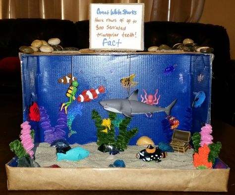 Shark diorama Shark Diorama, Shark Habitat, Ocean Diorama, Ocean Art Projects, Biomes Project, Diorama Kids, Ecosystems Projects, Projects Science, Habitats Projects