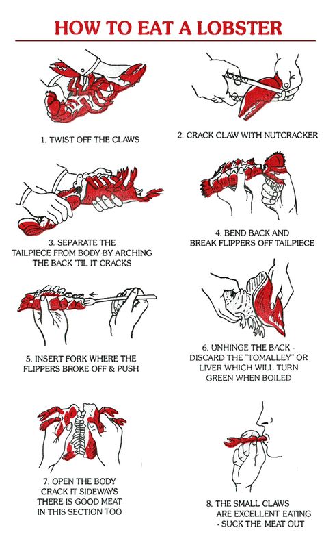 How to cook and eat a lobster. Taking notes! {Thanks for sharing, @asubtlerevelry} /ES Lobster Party, Lobster Boil, Lobster Bake, Live Lobster, How To Cook Liver, Lobster Recipes Tail, Crab Boil, How To Cook Lobster, Clam Bake