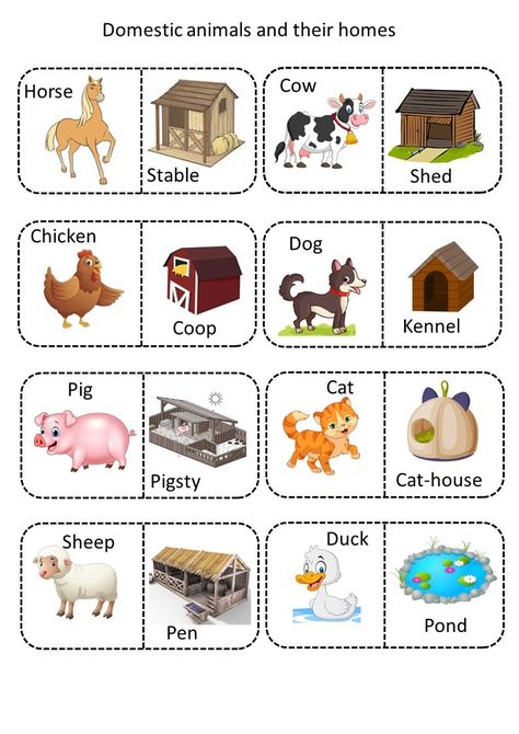 The animals with their homes match Domestic Animals And Their Homes, Animals Home Worksheet, Pet Animals Chart For Kids, Animal Homes Worksheet, Animals And Their Homes Printables, Domestic Animals Preschool, Animal Homes Preschool, Farm Animals And Their Homes, Animals And Their Homes Worksheets