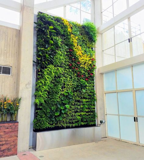 Recirculating Irrigation for Living Walls – Plants On Walls Outdoor Living Wall, Plants On Walls, Vertical Garden Systems, Garden Unit, Indoor Plant Wall, Living Walls, Hanging Plant Wall, Leafy Plants, Moss Wall