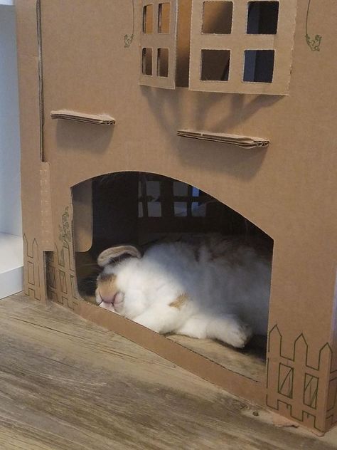 Cardboard House For Rabbits, Bunny Hideout Diy Cardboard, Cardboard Bunny House, Indoor Bunny, Diy Bunny Toys, Rabbit Hutch Indoor, Pet Rabbit Care, Unique Rabbit, Cardboard Castle