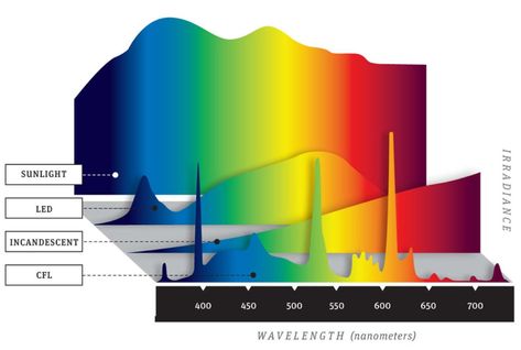 REALITY #3: WAKE ME UP WHEN SEPTEMBER 2016 ENDS - Dr. Jack Kruse Visible Light Spectrum, Light Spectrum, Aquarium Lighting, Popular Mechanics, Circadian Rhythm, Color Spectrum, Incandescent Lighting, Visible Light, Fluorescent Light