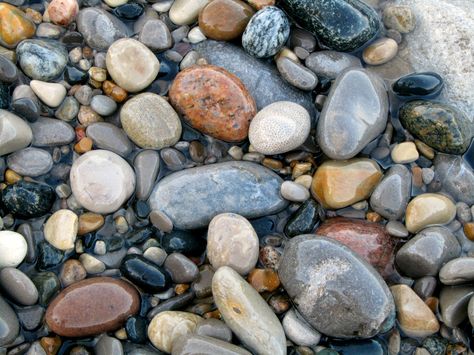 abundance everywhere ✨ Chakra Healing Music, Michigan Road Trip, Michigan Beaches, Lake Superior Agates, Rock Hunting, Petoskey Stone, Michigan Travel, Ambient Music, Hidden Beach