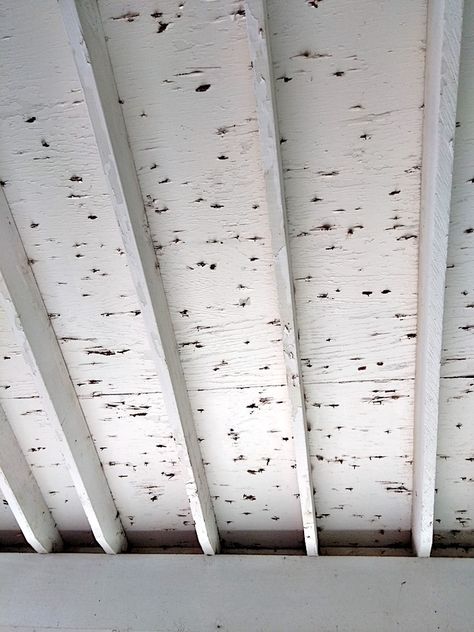 How can I conceal the underside of roof sheathing with protruding roofing nails? - Home Improvement Stack Exchange Roof Eves Ideas, Under Porch Ceiling Ideas, Underside Of Porch Roof Ceilings, Outdoor Porch Ceiling Ideas, She Shed Ceiling Ideas, Porch Ceiling Ideas Cheap, Shed Ceiling Ideas, Porch Ceiling Ideas, Painting Plywood