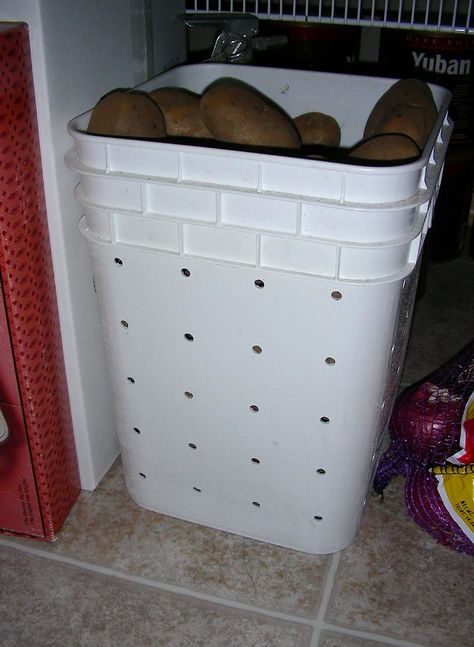 Cat Litter Bucket - I love this idea!  I hate just throwing all those tubs away! Kitty Litter Bucket Repurpose, Repurpose Cat Litter Bucket, Repurpose Cat Litter Jugs, Upcycle Litter Bucket, Upcycle Cat Litter Container, Repurposed Cat Litter Bucket, Reuse Plastic Containers, Tidy Cat Litter, Bucket Crafts