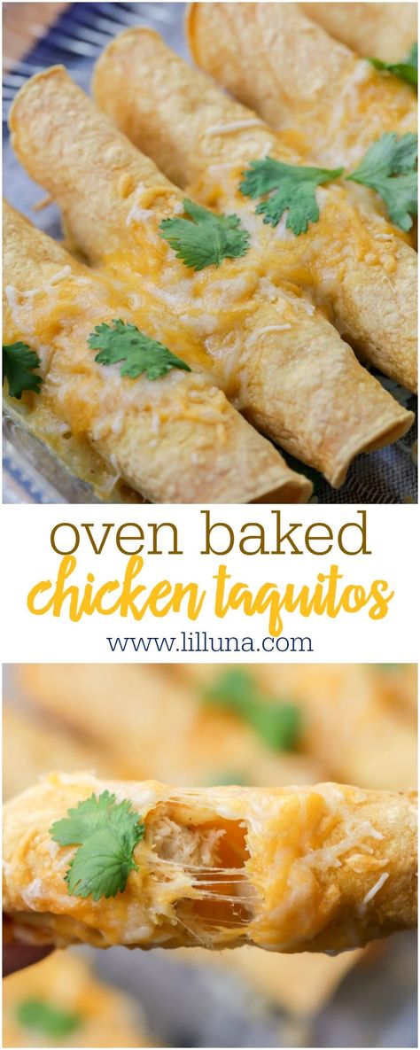 Simple and tasty Oven Baked Taquitos. These rolled tortillas are filled with chicken, cheese, salsa and so many delicious spices! #bakedtaquitos #taquitos #taquitorecipe #chickentaquitos #ovenbakedchickentaquitos Oven Baked Taquitos, Tasty Oven, Oven Baked Tacos, Baked Taquitos, Taquitos Recipe, Chicken Taquitos, Easy Chicken Dinner Recipes, Oven Baked Chicken, Cook Chicken Breast