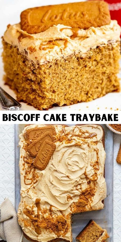 Tray Cake Recipe, Quick Traybake Recipes, Bischoff Cake Recipe, Speculoos Cake Recipe, Biscoff Traybake Recipes, Cakes For Work, Biscoff Box Cake, Easy Traybake Recipes Uk, Easy Biscuit Cake Recipe