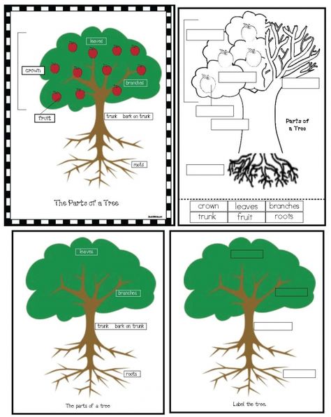 Parts Of A Tree Poster Activity Apple Tree Activity, Parts Of A Tree, Nature Preschool, Seasons Worksheets, Trees For Kids, Tree Poster, Tree House Kids, Apple Activities, Tree Study