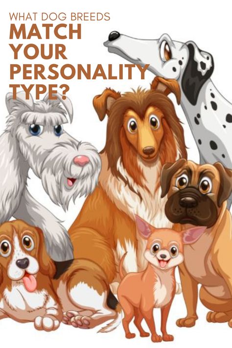 Dog breeds are like people. They also have their personality. Want to know what dog breeds suit your personality type? Read more.. #personalityofdogs #likeparentlikedoggies Dog Personality Types, Best Family Dog Breeds, Lazy Dog Breeds, Medium Dog Breeds, Mixed Dog Breeds, Family Dogs Breeds, Types Of Dogs Breeds, Best Dogs For Families, Dog Breeds List