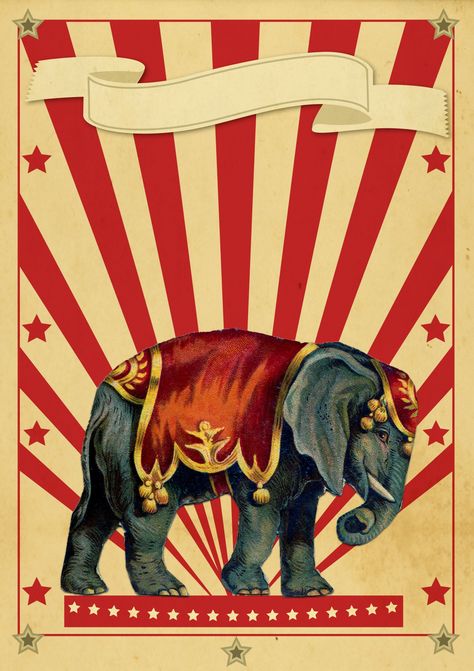 Circus Retro Poster Elephant Cirque Vintage, Circus Illustration, Old Circus, Vintage Circus Posters, Circus Design, Circus Aesthetic, Elephant Poster, Elephant Stickers, Circus Poster