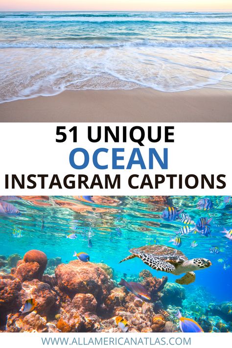 These ocean Instagram captions and quotes will seriously blow your follower's minds, as you share the emotional ocean quotes and funny ocean quotes. Instagram isn't just for photos - it's for what we say about those photos, so use these Instagram captions about the ocean for major bonus points! Aquarium Quotes Instagram, Ocean Quotes Instagram, Aquarium Captions Instagram, Ocean Breeze Quotes, Ocean Instagram Captions, Ocean Captions Instagram, Water Captions, Whale Quote, Sea Captions