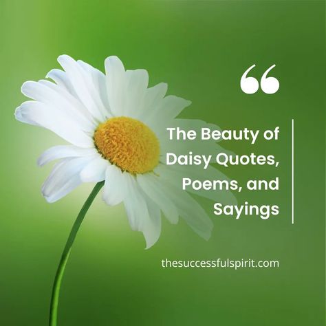 Daisy Poem Short, Daisy Sayings Quotes, Poems About Daisies, Positive Quotes With Flowers, Daisy Birthday Quotes, Daisy Captions For Instagram, Daisy Quotes Inspirational, Quotes About Daisies, Daisy Quotes Simple