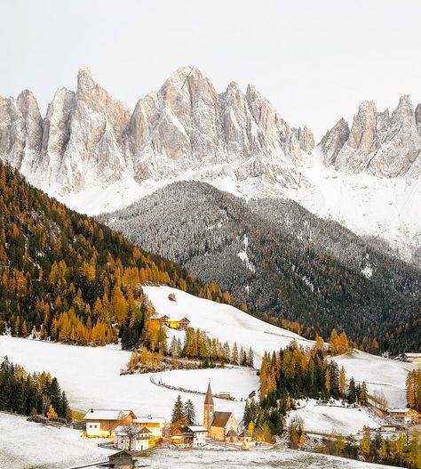 🇮🇹 The Dolomites in autumn (Italy) by Ivan Kmit (@ivankmit_photography) • Instagram 🍂❄️ Small Town Winter, Autumn Italy, Mountain Christmas, Mountains Aesthetic, Snow Forest, The Dolomites, Snowy Mountain, Snowy Forest, Forest Pictures