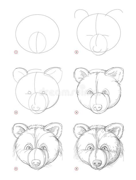 Face Drawing Tutorial, Bear Face Drawing, Step By Step Sketches, Bear Sketch, Drawing Tutorial Face, Bear Drawing, Bear Head, Bear Face, Draw Sketch