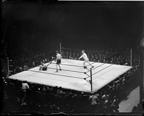 boxing ring James Braddock, Daniel Richter, Ring Photoshoot, Neo Rauch, Boston Garden, Boxing Rings, Vintage Boxing, Boxing Images, Lion Tattoo Sleeves