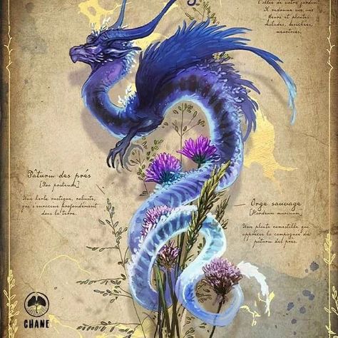 Chane’s Instagram photo: “Hello par ici ! ☀️ Le Dragon -Nuage est composé à 99% d'eau, ce qui lui donne une jolie couleur bleue nuit. Attiré par les.plantes et…” Creature Design, Game Design, Japan, Instagram Photo, On Twitter, Twitter, Animals, Instagram, Art