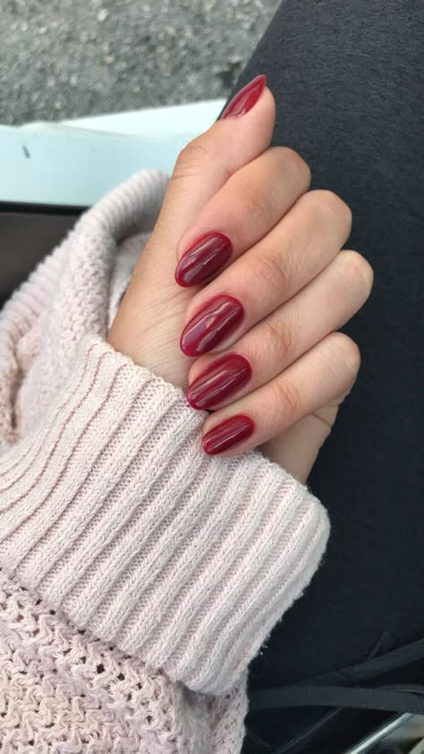 Round Shape Nails Designs, Red Oval Almond Nails, Red And Maroon Nails, Cranberry Dip Nails, Short Almond Holiday Nails, Round Nails Red, Short Round Nails Burgundy, Short Dark Red Almond Nails, Maroon Oval Nails