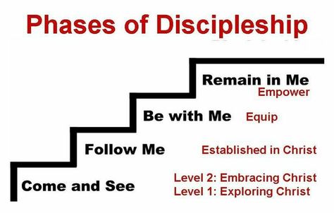 Discipleship Group, Quick View Bible, Discipleship Training, The Great Commission, Great Commission, Christian Post, Bible Study Lessons, Spiritual Disciplines, Healing Words