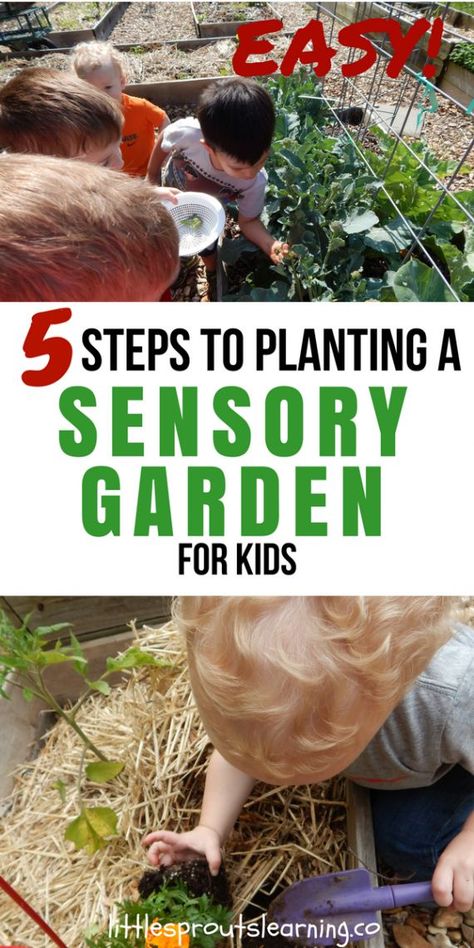 What could be more fun than a sensory garden for kids? Kids NEED sensory stimulation for development. Planting a garden is a great way to meet that need! Sensory Garden For Kids, Montessori Playground, Sensory Garden Ideas, School Greenhouse, Sensory Gardens, Garden For Kids, Horticulture Therapy, Environmental Psychology, Preschool Garden