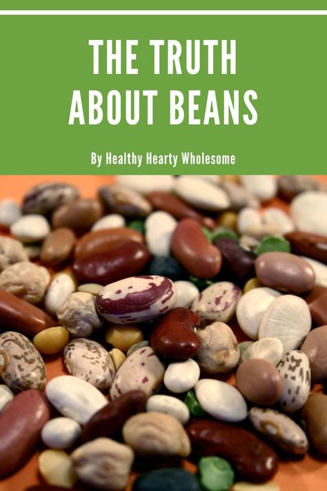 the truth about beans - blog post Eat More Beans, How To Be Healthy, Dieting Tips, Healthy Beans, What Is Health, Diet Healthy, Healthy Clean Eating, Bean Recipes, Nutrition Advice