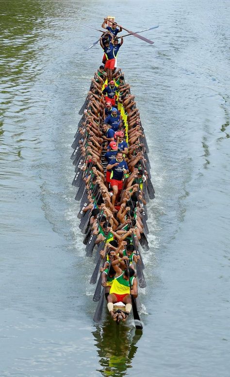 Boat race Color Cupcakes, Kerala Culture, Onam Kerala, South Indian Culture, Onam Wishes, Kerala Backwaters, Mother India, Traditional Boats, Amazing India