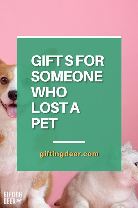 Pet Died Gift, Pet Loss Gift Basket, Gifts For People Who Lost A Dog, Loss Of Pet Gift Ideas, Gift For Friend Who Lost A Dog, Pet Remembrance Gifts, Loss Of A Dog Gifts, Gift For Loss Of Dog, Loss Of Dog Gift Ideas