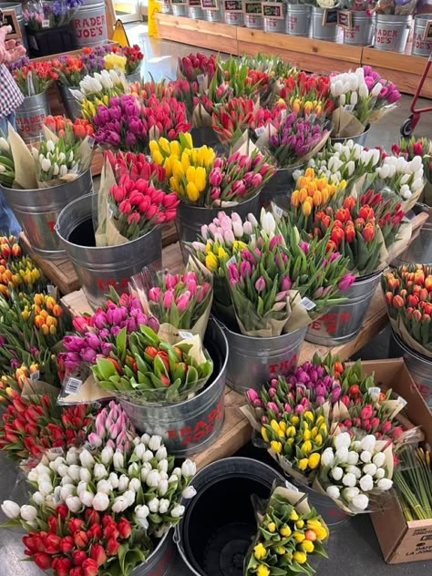 Boquette Flowers, Home Gardening, Nothing But Flowers, Plant Aesthetic, Flower Therapy, Nature Plants, Spring Aesthetic, Tulips Flowers, Nature Aesthetic