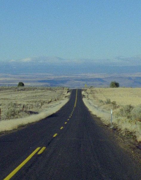 Own Private Idaho, My Own Private Idaho Stills, My Own Private Idaho Poster, My Own Private Idaho Aesthetic, My Own Private Idaho Wallpaper, My Private Idaho, Gus Van Sant, Private Idaho, My Own Private Idaho