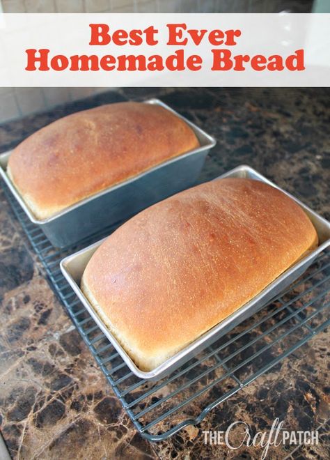 Homemade Bread Bread Blueberry, Filet Mignon Chorizo, Best Homemade Bread, Homemade Bread Recipe, Best Bread Recipe, Baking Bread, Italian Bread, Bread Machine Recipes, Easy Bread Recipes