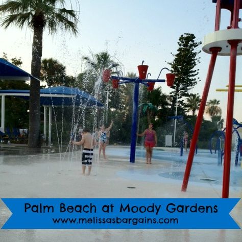 We lived in Houston for 7 years before we decided to visit Moody Gardens for the first time!  After that trip, we were asking ourselves why we waited so l Galveston Restaurants, Moody Gardens, Galveston Beach, Galveston Texas, Galveston, Palm Beach, Road Trip, Places To Go, 10 Things