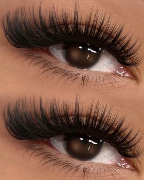 Black Friday Website, Wispy Set, Natural Fake Eyelashes, Lash Extentions, Lashes Fake Eyelashes, Eyelash Technician, Wet Set, Eyelash Extensions Styles, Lash Extensions Styles