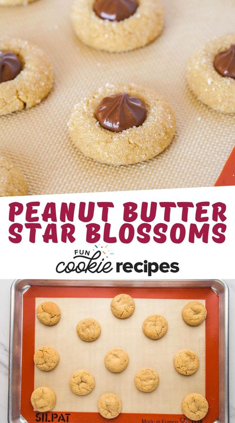 Peanut Butter Star Cookies, Peanut Butter Chocolate Star Cookies, Chocolate Star Cookies, Chocolate Star Cookies Christmas, Peanut Butter Overload Cookies, Star Cookie Christmas Tree, Fun Cookie Recipes, Chocolate Stars, Blossom Cookies