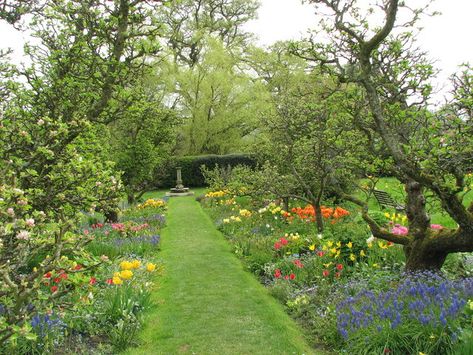 Hergest Croft - ornamental orchard Orchard Landscaping, Garden Orchard, Orchard Design, Food Forest Garden, Orchard Garden, Garden Tool Set, Cottage Garden Design, Forest Garden, Veg Garden