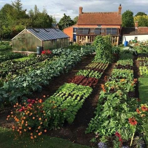 Vegetable Garden Design Ideas, Diy Garden Landscaping, Permaculture Design, Mother Mother, Garden Design Layout, Cottage Gardens, Vegetable Garden Design, Garden Design Ideas, Plants And Flowers