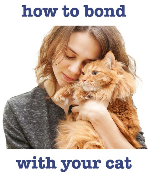 How To Bond With Your Cat, Cats Health, Raising Kittens, Cat Tips, Cat Language, Cat Hacks, Healthy Cat, Cat Garden, New Cat