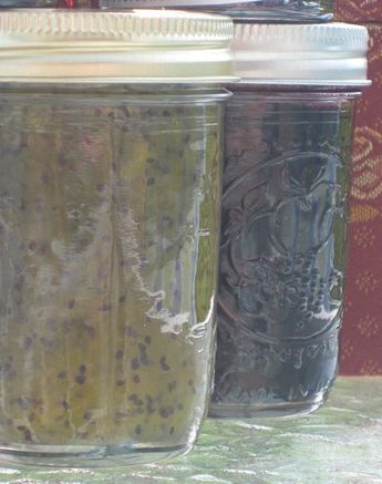 Unset Jam... Runny Jelly...? How to fix it. Seed Growing, Canning 101, Canning Jam, Canning Food Preservation, Homemade Jelly, Canned Food Storage, Jam And Jelly, Jelly Recipes, Food Projects