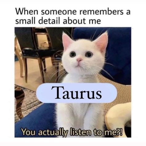 Taurus Journal, Taurus Wallpaper, Taurus Zodiac Quotes, Taurus Memes, Thing About Me, Taurus Traits, Taurus Bull, Taurus Zodiac Facts, Taurus Quotes