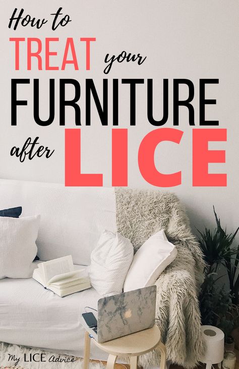 After treating your child for head lice, the last thing you want is to get it back from your house! Discover the 7 best ways to treat your furniture for head lice. #myliceadvice #lice Diy Lice Spray For Furniture, Lice Spray For Furniture, Getting Rid Of Nits, Cleaning Leather Couch, Lice Spray, How To Treat Lice, Lice Nits, Lice Remedies, Hair Lice