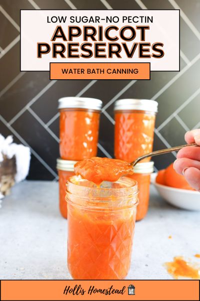 Low sugar no pectin apricot jam in a quilted jelly jar with a spoon full above it. Preserves behind stacked up in jars. Apricot Preserves Recipe, Canning And Preserving, Apricot Preserves, Canning Recipe, Water Bath Canning, Healthy Family Dinners, Homemade Tomato Sauce, Apricot Jam, Juicy Tomatoes