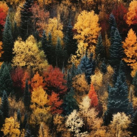 Seamless. Top view of the autumn forest stock photos Seamless Top, Natural Nature, Seamless Textures, Autumn Forest, Top View, Stock Illustration, Forest, Stock Photos, Texture