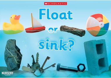 float or sink picture Float Or Sink, Kids Sink, Sink Or Float, Fun Facts About Animals, Science Club, Kindergarten Science, Easy Science, Preschool Science, Big Bowl