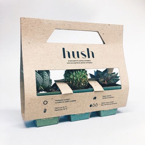 Plants Business, Plant Packaging, Earth Projects, Flower Shop Decor, Baby Shower Deco, Paper Plants, Flower Packaging, Seed Paper, Cardboard Packaging