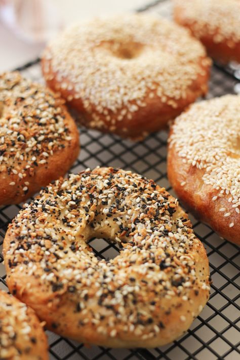 Easy New York Style Everything Bagels and Sesame Bagels - Mozie Sesame Bagel Recipe, New York Bagel Recipe, Bagels Aesthetic, All About Me Board, Types Of Bagels, About Me Board, Sesame Bagel, Everything Bagels, New York Bagel