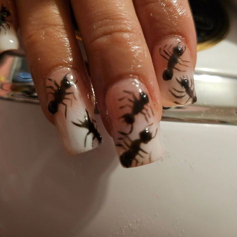 Fruit nails are cool but after fruit comes the ants 🐜🐜 #gelx #lasvegasnailtech #lasvegas #ants #bugs #nails #acrylic #gelextensions #hardgel Bug Nails, Nails Board, Fruit Nails, Gel Extensions, Hard Gel, Nails Acrylic, Nail Tech, Ants, Nail Ideas