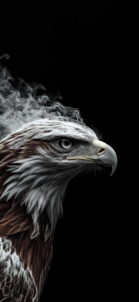 Eagle Wallpaper Hd, Iphone Wallpaper Clock, American Flag Pictures, Album Cover Wallpaper Collage, Wild Animal Wallpaper, 4k Wallpaper For Mobile, Eagle Images, Eagle Wallpaper, Android Wallpaper Art