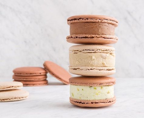 Gelato Macaron, Macaron Bar, Gelato Store, Macaron Ice Cream, Macaron Ice Cream Sandwich, Ice Cream Design, Cream Design, Ice Cream Sandwiches, Pastry Desserts