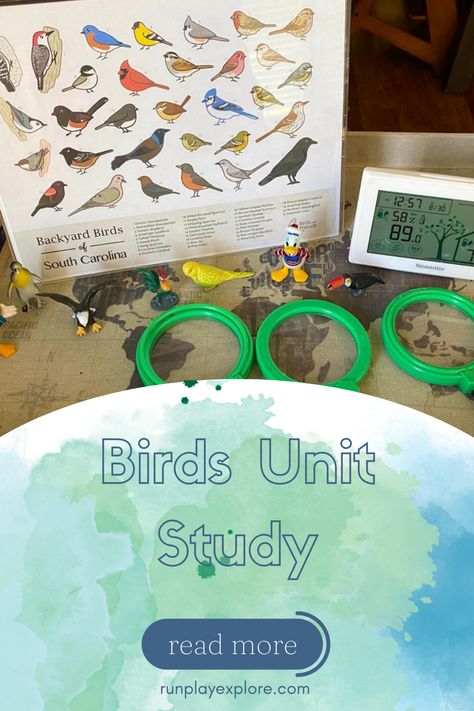 During our birds unit study, we made bird feeders, visited a birds of prey center for a field trip, and studied different beak styles with a fun activity. Tacky The Penguin, Poetry Tea, Poetry Tea Time, Bird Beaks, What Is A Bird, Science Topics, Different Birds, Unit Studies, Unit Study